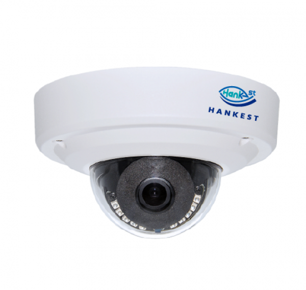 2MP 紅外線球型